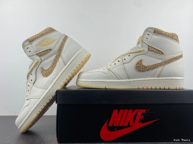 Kicked Out Shoe Store Air Craft OG High Jordan 1 FD8631-100 0820